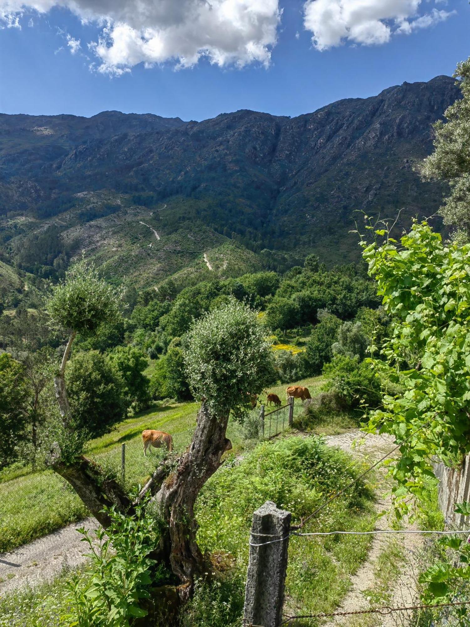 Vale Das 7Lagoas جيريز المظهر الخارجي الصورة